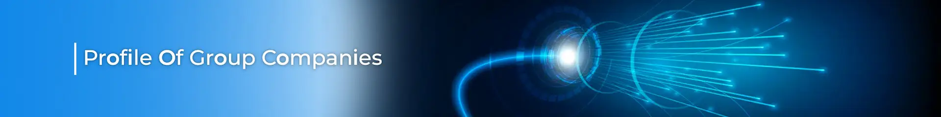 banner-profile-of-group-companies